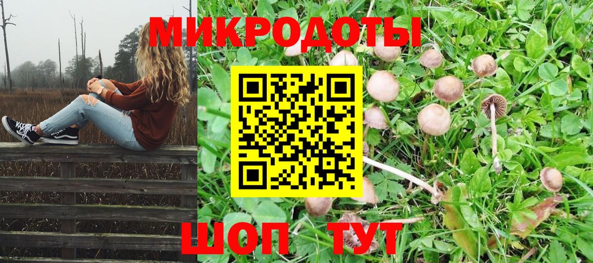 Псилоцибиновые грибы мухоморы Домодедово